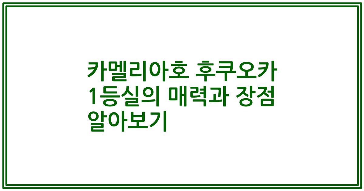 카멜리아호 후쿠오카 1등실의 매력과 장점 알아보기
